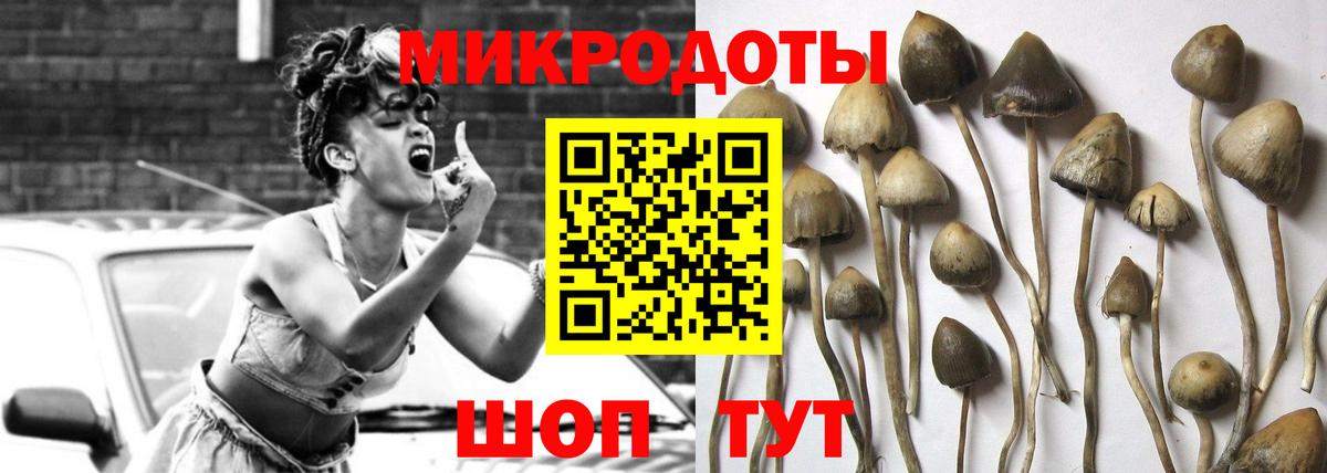 Галлюциногенные грибы Psilocybine cubensis Каспийск